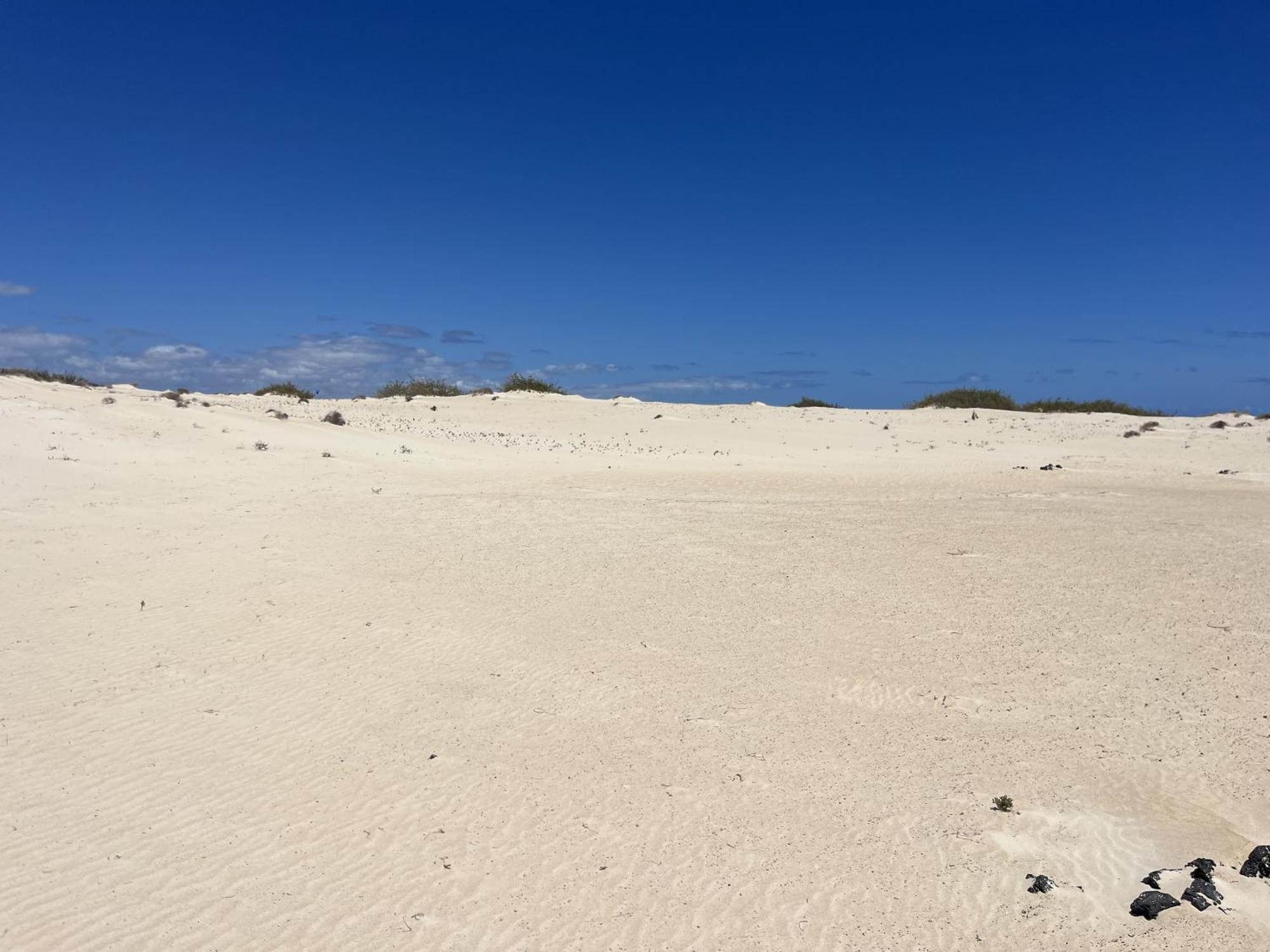 Villa Bf Paraiso De Tranquilidad Villaverde  エクステリア 写真